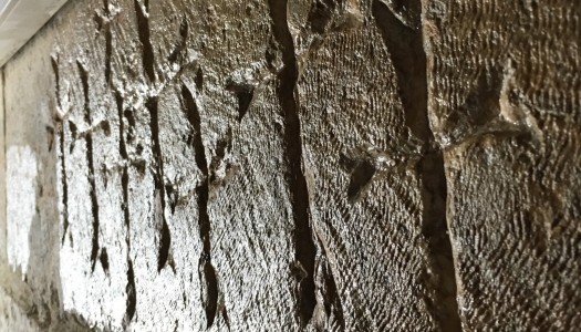 Nativity restoration